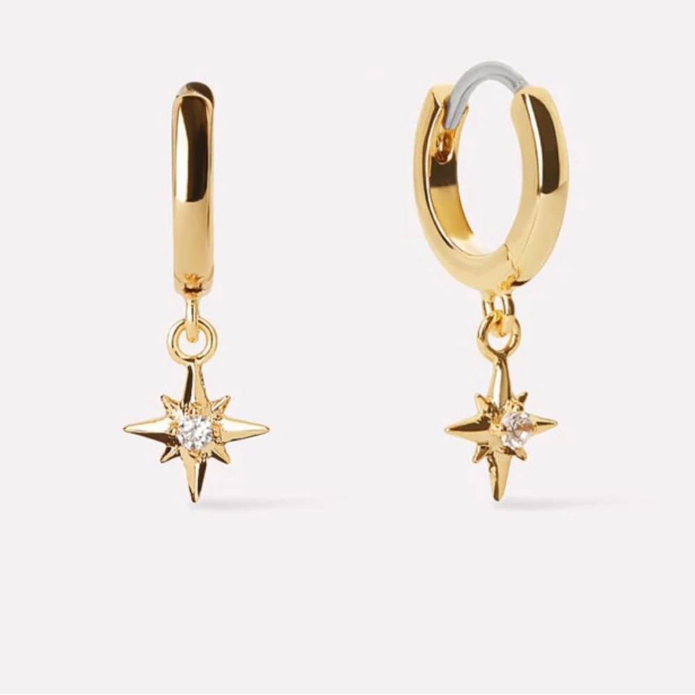 Ana Luisa earrings